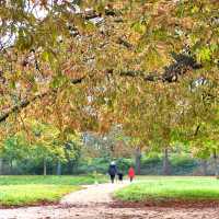 The Bois de Vincennes🍁Paris in Autumn 