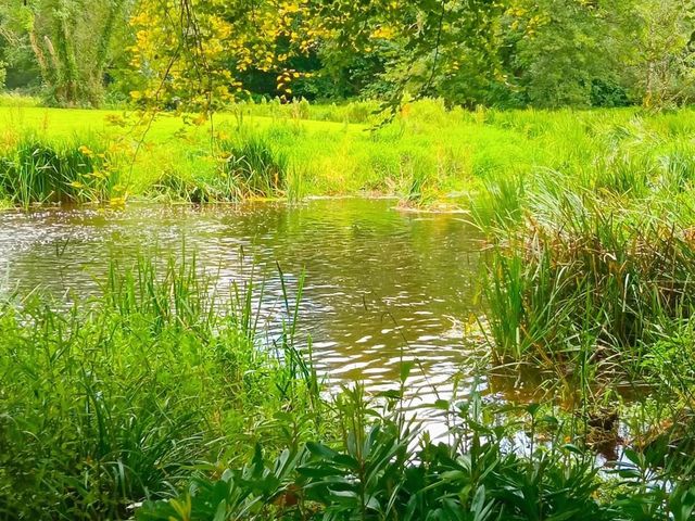 Doneraile Wildlife Park 🗺️