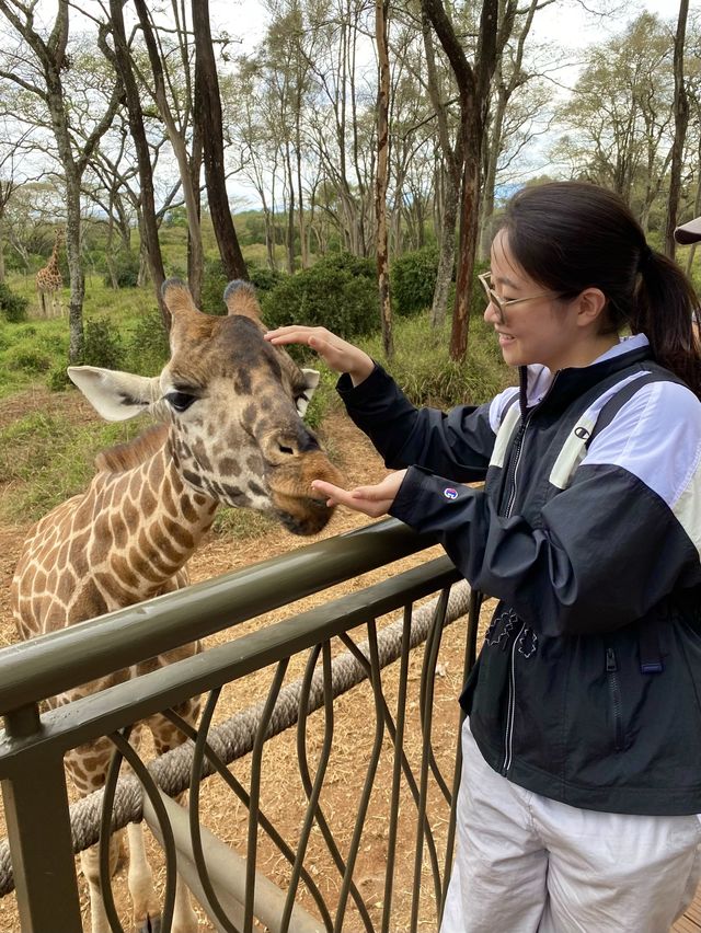 🇰🇪 케냐 기린 센터 🦒