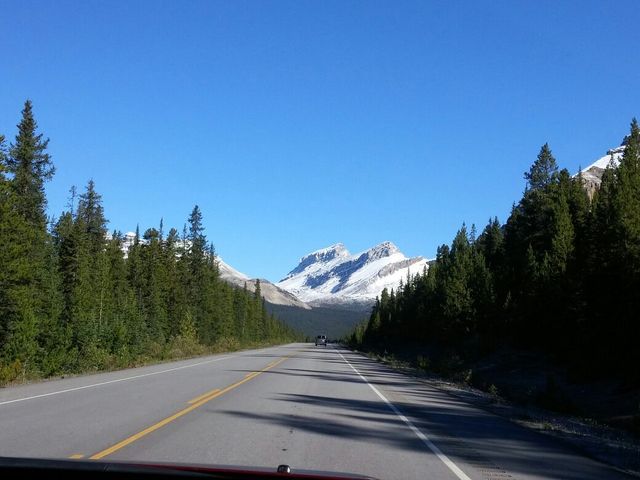 Alpine Adventures the Heart of the Rockies 🏞️