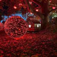 Magical Christmas Market In Vienna