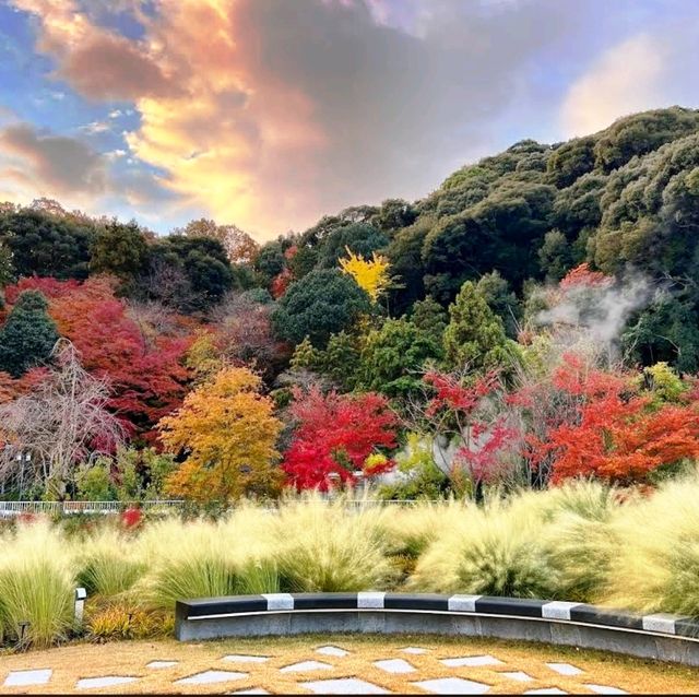 🌸京都威斯汀都酒店🌸環境極優美，感受京都寧靜一面⛩️