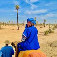 Quad bike and donkey ride