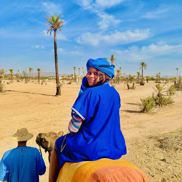 Quad bike and donkey ride