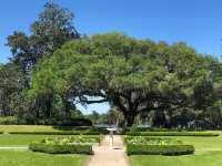 Exploring South Carolina's Historic Jewel