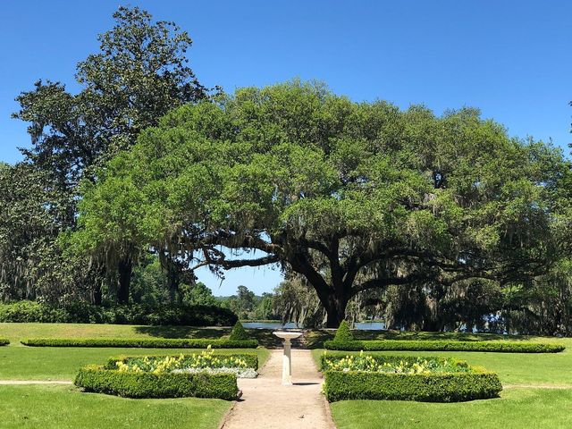 Exploring South Carolina's Historic Jewel
