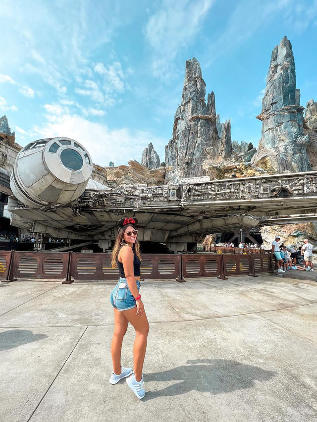 Disney's Hollywood Studios