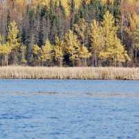 Autumn Kayaking at Red Lake 🍂🛶