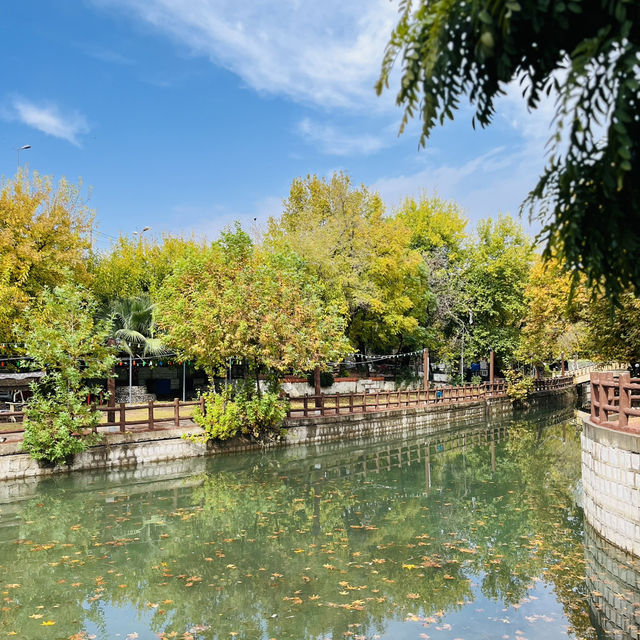 🍂 Travel to Sulaymaniyah, Iraq in Autumn 🍂