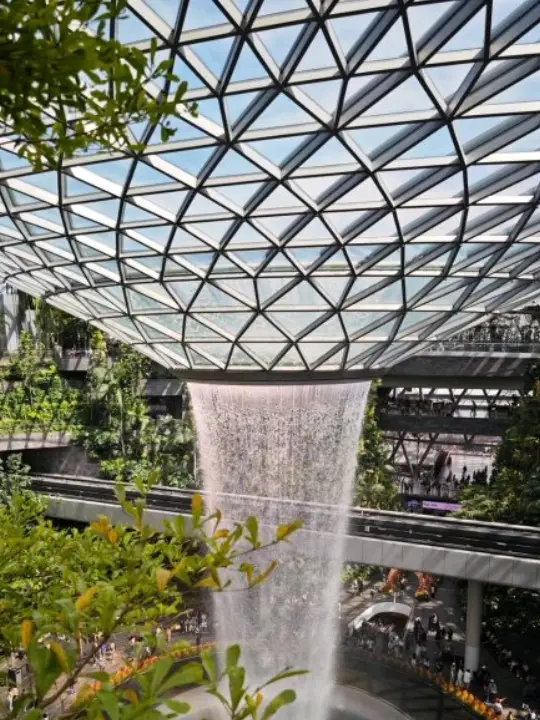 An awesome visit to canopy park 😎