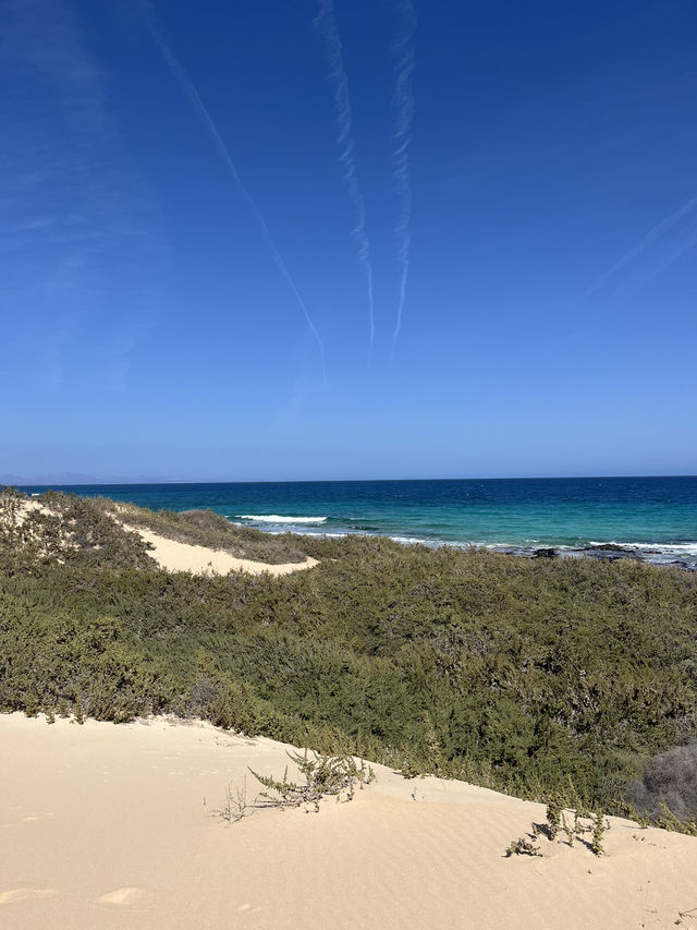 Paradise in Corralejo Fuerteventura 🇪🇸