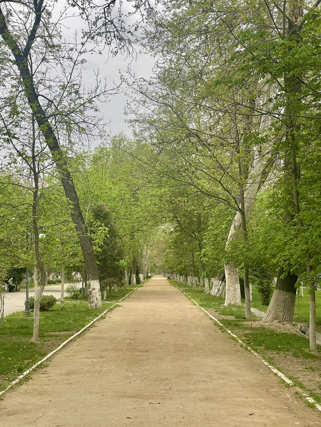 Usual Stroll along University Boulevard 