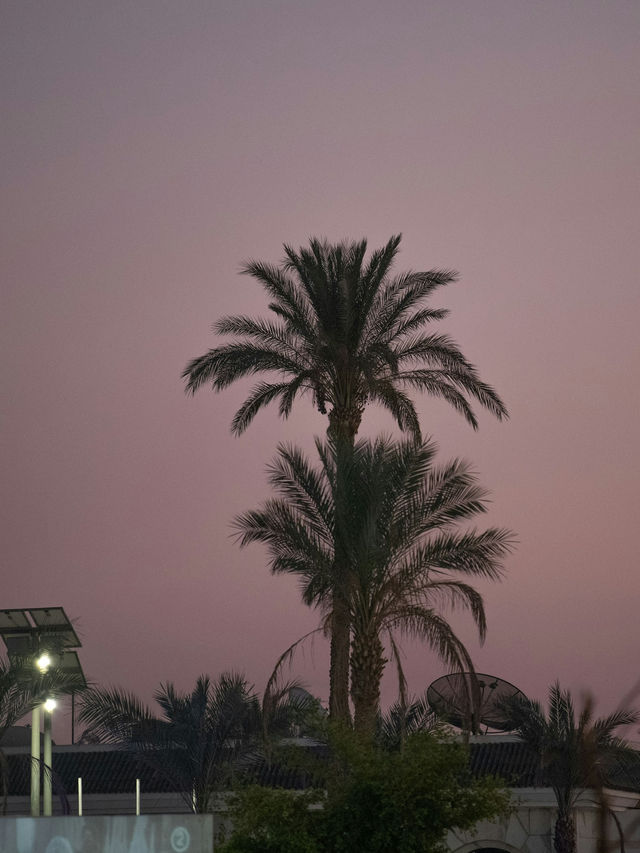 Sharm El Sheikh’s Coastal Paradise Vibes 🌊