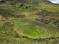 해외여행 페루 고산 농경지대 Zona Arqueologica Moray