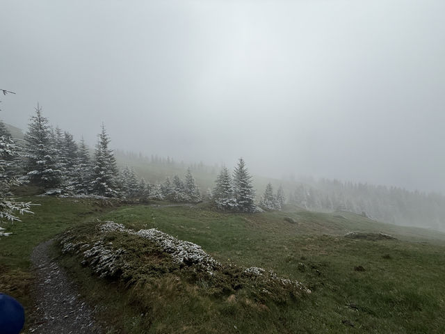 Chasing the Eiger – Worth Every Step!