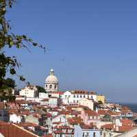Lisbon’s Best Views: A Morning to Remember! 