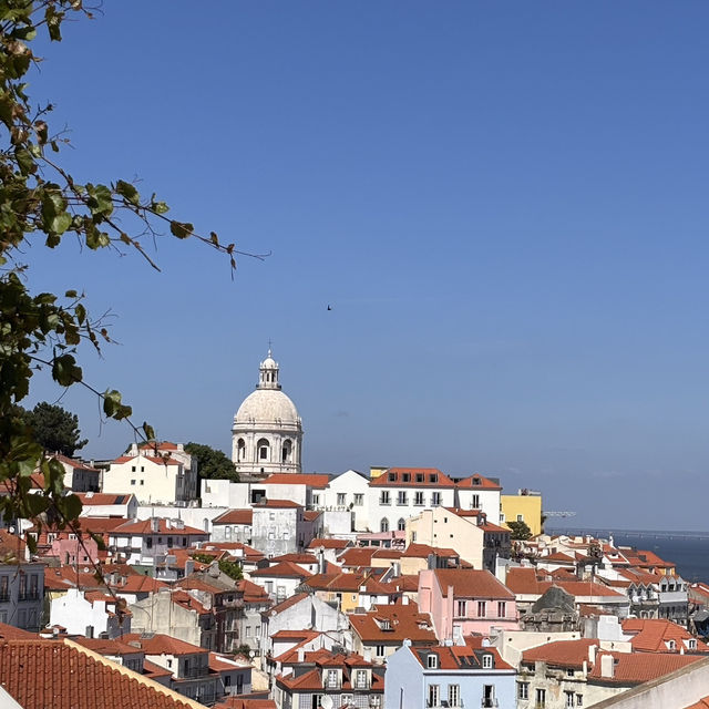 Lisbon’s Best Views: A Morning to Remember! 