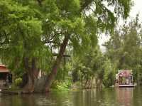 Xochimilco - the Venice of Mexico 