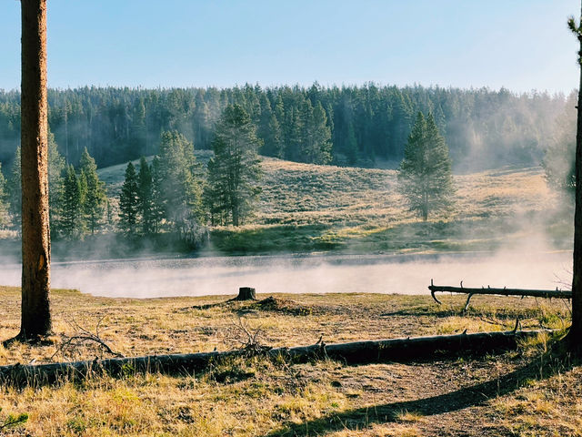 🚙 Transportation Tips for Yellowstone National Park 🏞️🧭