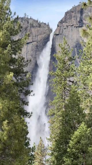 No Car? No Problem! How to Explore Yellowstone Without Driving