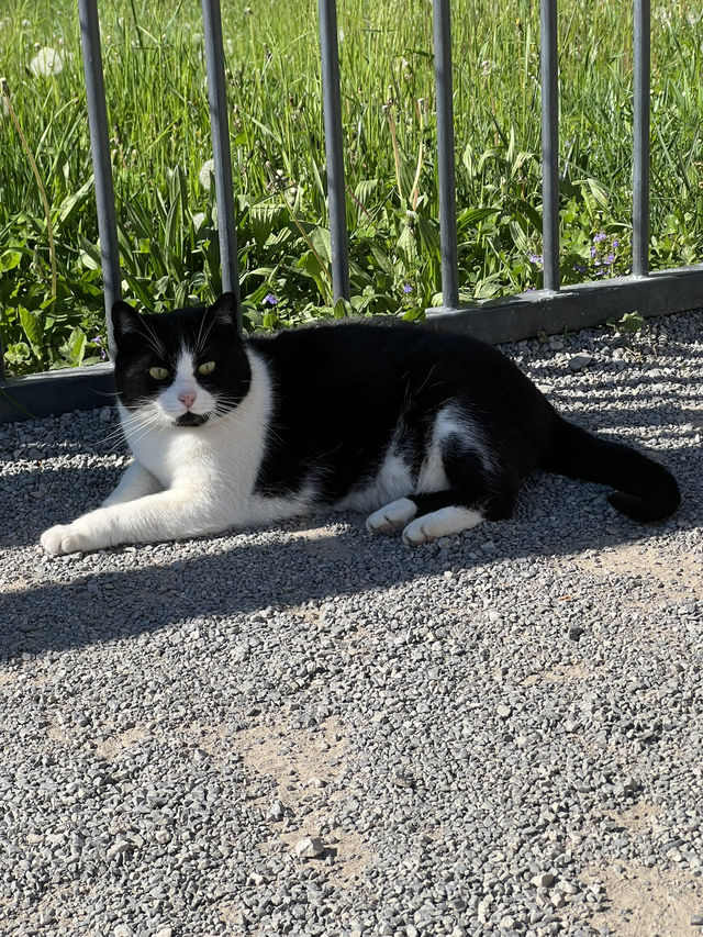 🇸🇮 斯洛維尼亞波斯托伊納（Postojna） 