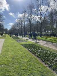 Into the World of Tulips: A Journey to Keukenhof