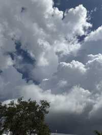 Miami weather