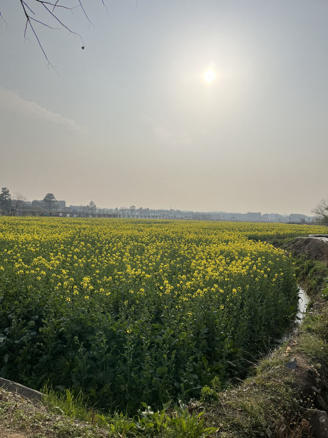 🏮🌿 Anyi Whispers: Step into Jiangxi’s 600-Year-Old Watercolor Dream!