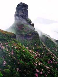 ⛰️ Fanjing Mountain – Sacred Peaks Above the Clouds