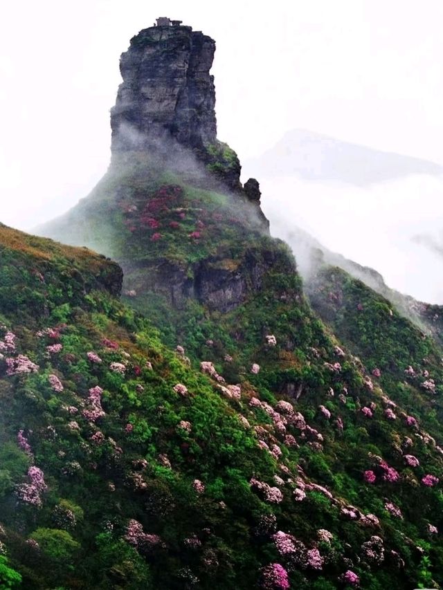 ⛰️ Fanjing Mountain – Sacred Peaks Above the Clouds