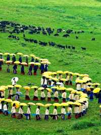 Liangshan Yi-Where Mountains Meet Minority Culture