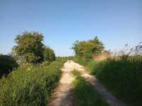Magor Marsh and the Caldicot Levels 