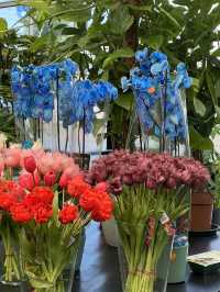 🇳🇱 荷蘭阿姆斯特丹:辛格鮮花市場(Bloemenmarkt) 💐