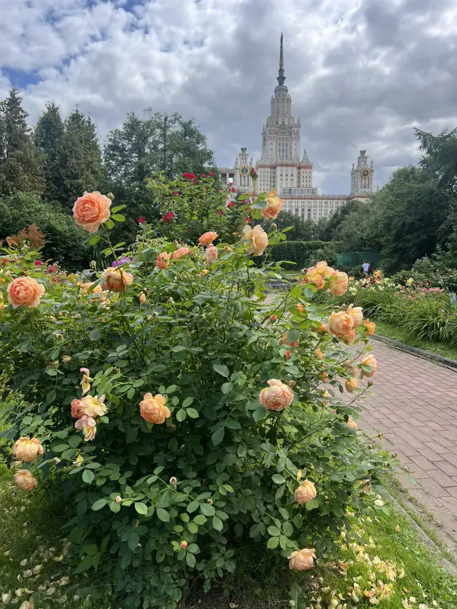 МГУ Ботанический сад – Зеленый рай