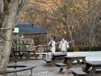 South Korea Itinerary 4: Daegu's Hidden Gem Getaway