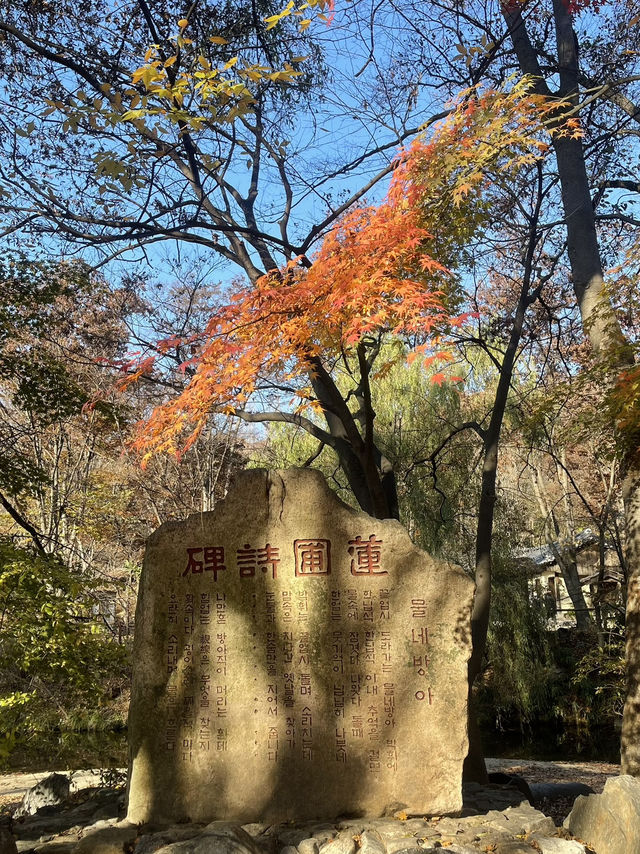 Autumn Suwon Vibes🍂