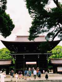 Tokyo on a Budget: Sushi, Shrines & Street Life