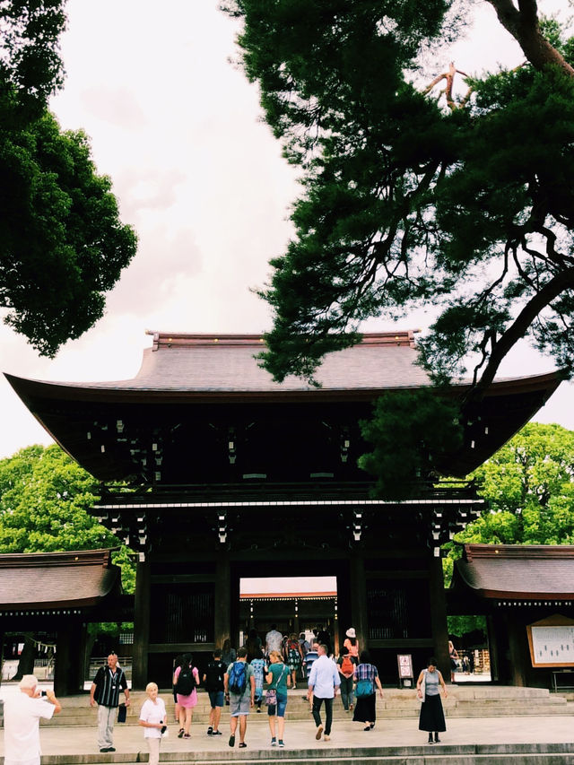 Tokyo on a Budget: Sushi, Shrines & Street Life
