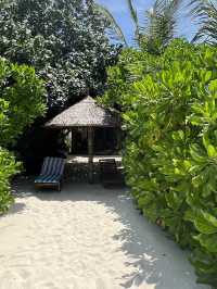 Vilamendhoo Island Resort — Where the Reef Speaks Louder Than Words
