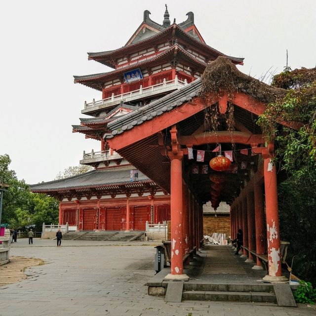 Tranquility Above Yushan – The Taoist Temple Experience ⛩️🌄