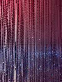TeamLab Wonders✨