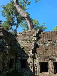 🎬 Explore the Iconic Tomb Raider Filming Site in Cambodia 🌿