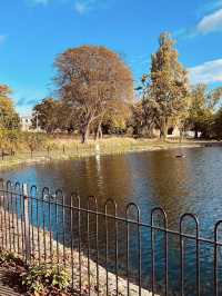 🍁 Albert Park – Autumn Paths Under Towering Trees 🌳