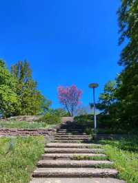 Nature Walk Charm🍃