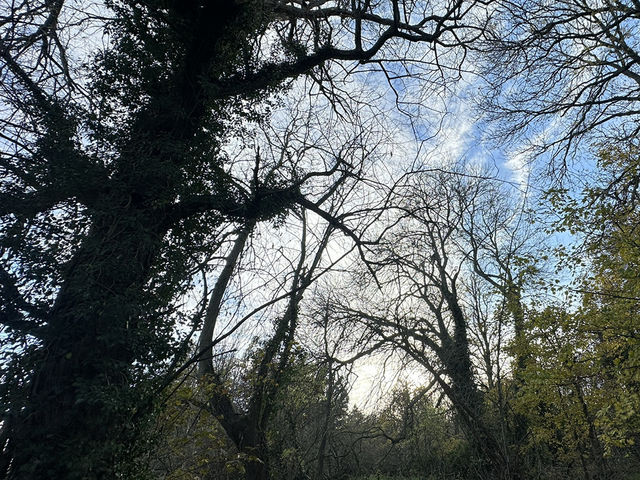 華麗轉身:荒廢船塢變身現代綠洲豪宅