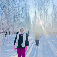 Winter Wonderland in Heilongjiang & Jilin!❄️