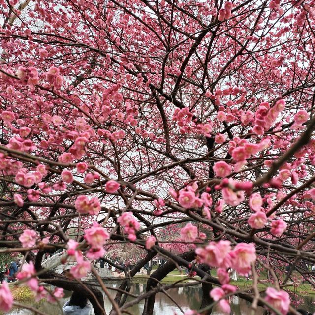 一個好吃好玩，花好山水綠的網紅城市-湖南省