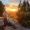 belladonna_5871