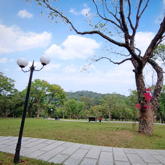 Lianhuashan park greenery 💜