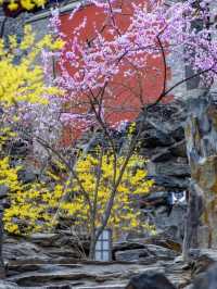 Off-the-beaten-path destination